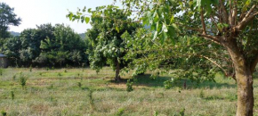GREEN Village Place